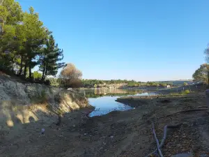Karaağaç Piknik Alanı