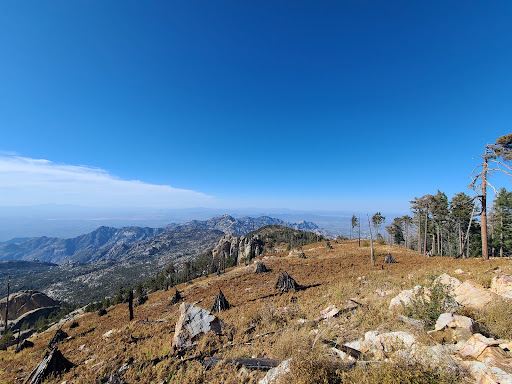 Mount Lemmon Trailhead Entrance