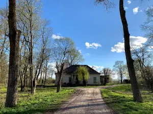 Покорщина