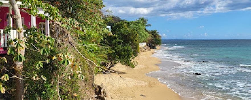 Playa Los Almendros