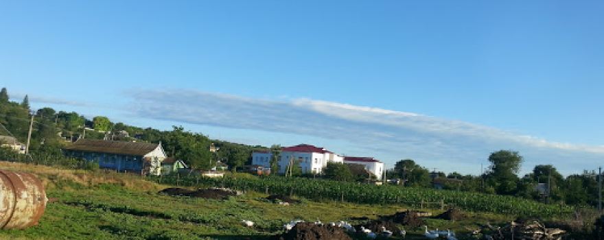 Gimnaziul Satul Nou