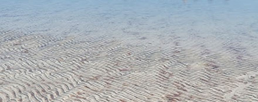 Hidous Beach'شاطئ حيدوس'