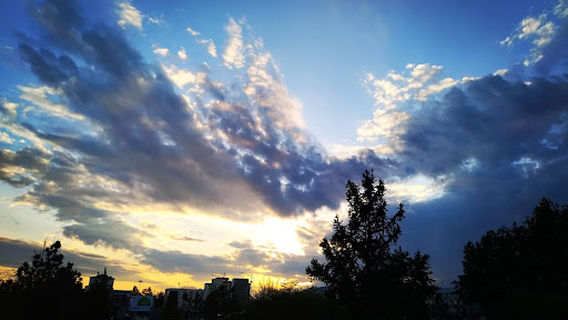 Central Amusement park garden