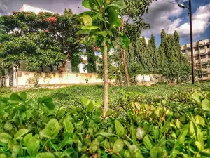 Dayanand College Ground
