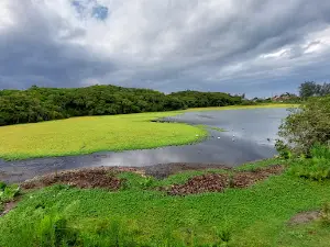 Parque Natural Municipal Tupancy