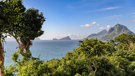Elnido Zipline - Palawan Zipline Adventure Inc.