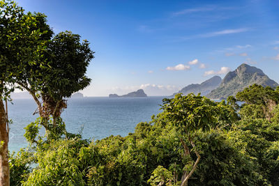 Elnido Zipline - Palawan Zipline Adventure Inc.