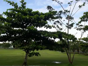 Football Field Korem 174 / ATW