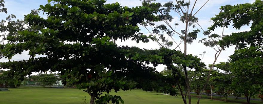 Football Field Korem 174 / ATW