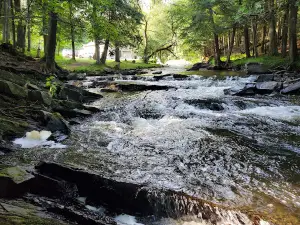 Power House Falls
