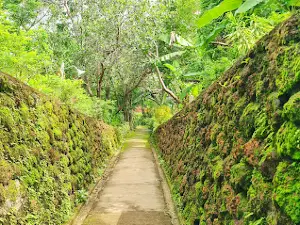 Metta Ecological Center (မေတ္တာဂေဟရိပ်သာ)