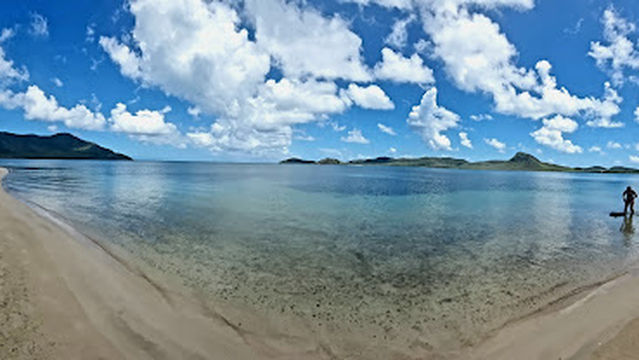 Pig’s Paradise Antigua