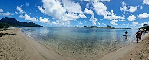 Pig’s Paradise Antigua