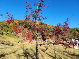 Samyeongdaesa Park