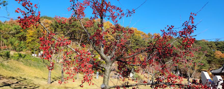 Samyeongdaesa Park