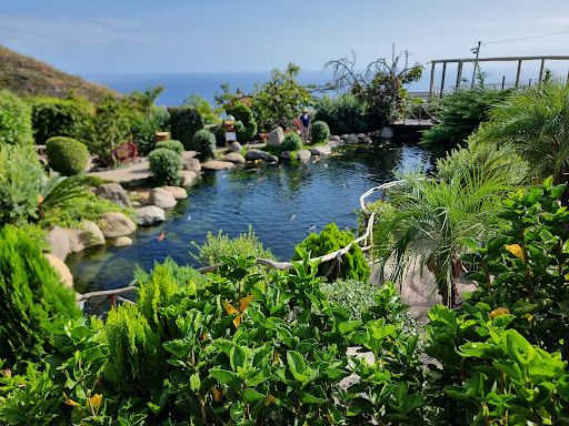 Ilha das Aves Madeira Lda