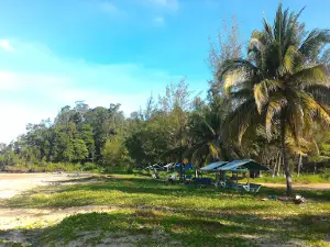 Pantai Nibung Indah
