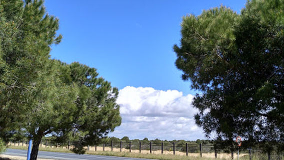 Matalascañas