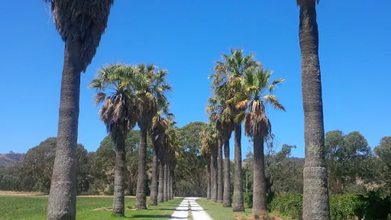 Lyndoch Recreation Park