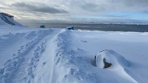 Kolonihavnens Tidevandstrappe
