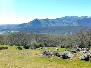 Senda del oso