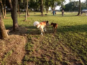 Unleashed Dog Park