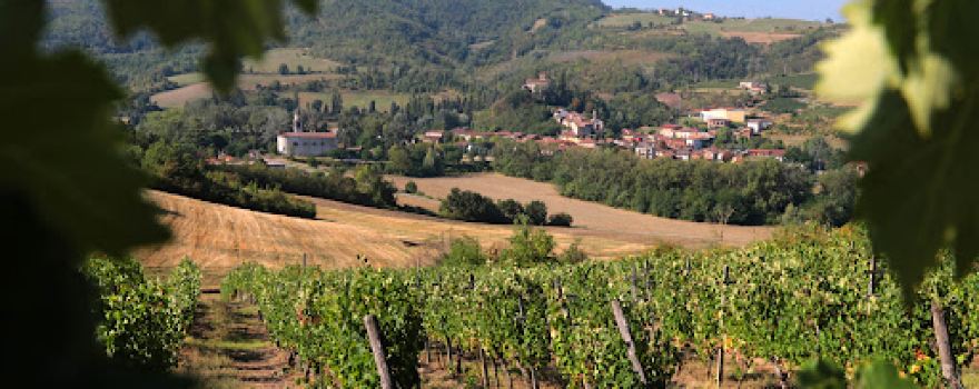 Azienda Agricola Poggio