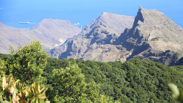 Mirador del Llano de los Loros