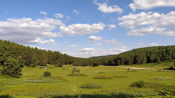 Koymat Piknik Alanı