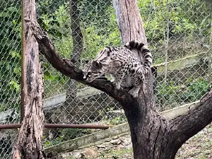 Zoologico de Trinitaria