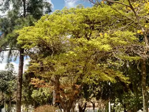 Praça Bom Pastor