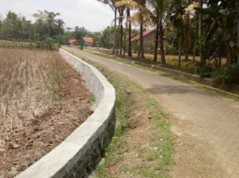 Warung Makan Bu Nana (bu Maryo)