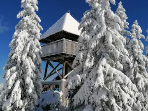Škratova učna pot