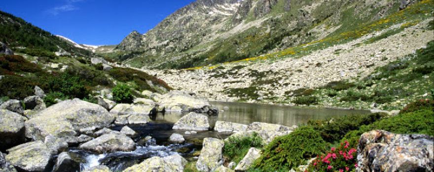 Camping Huttopia Font-Romeu