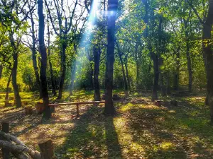 Complex Strandzha Park