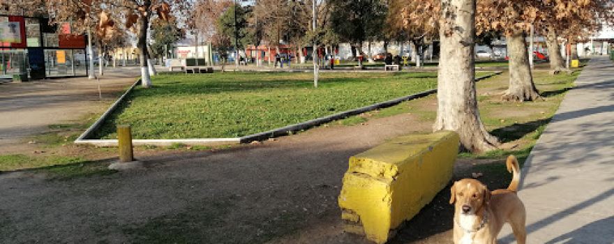Plaza Lo Ovalle