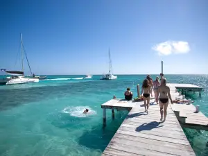 Blue Tang Inn
