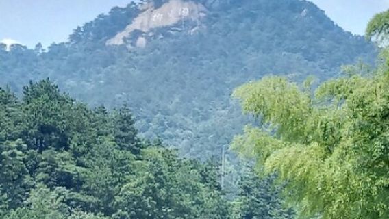 รีสอร์ทฤดูร้อนของนอร์บรูค