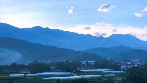 Mosha Damuyu Tourism and Cultural Ecological Village