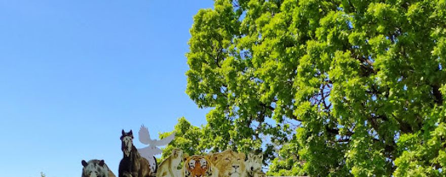 Grădina Zoologică-Pădurea Gârboavele