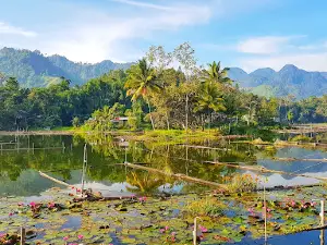 Mindanao
