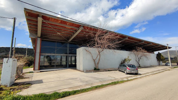Early Helladic Cemetery at Tsepi of Marathon