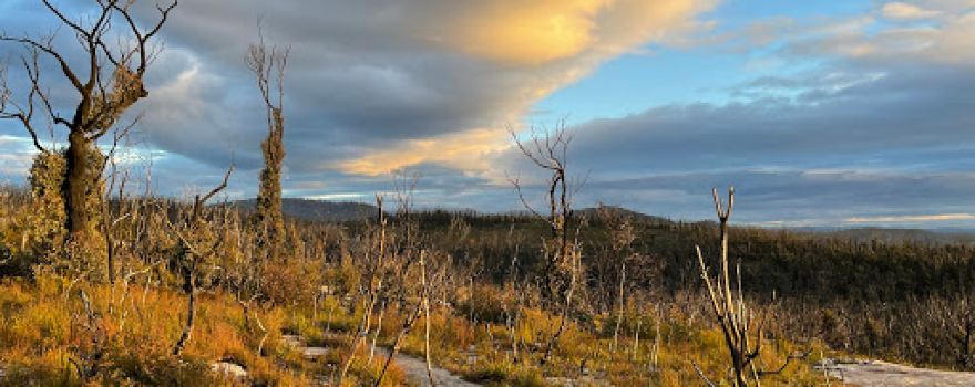 Budawang National Park