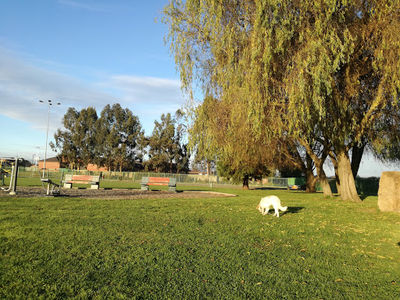 Estadio Amanecer