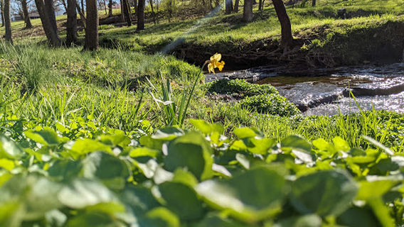 Hidden Waters Nature Park