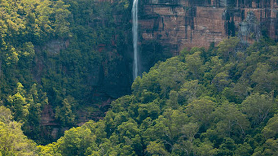 Starkeys Lookout