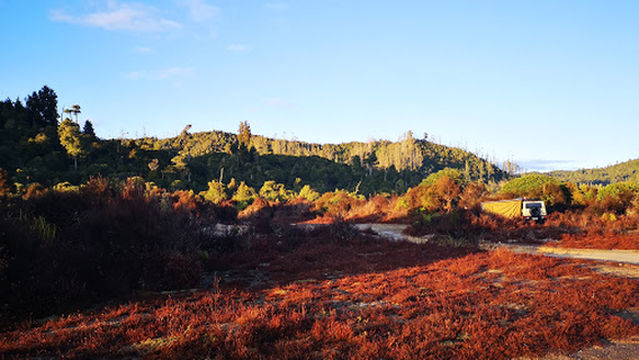 Pokaka Mill Campsite