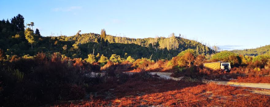 Pokaka Mill Campsite