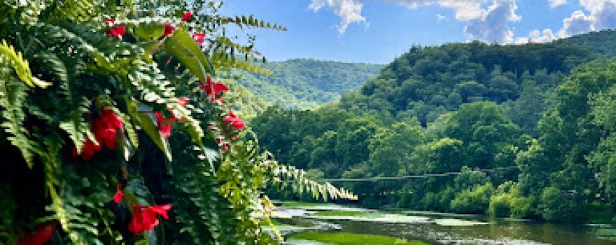 Marlinton Creek and Trail Campground