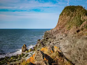 Parc national du Bic